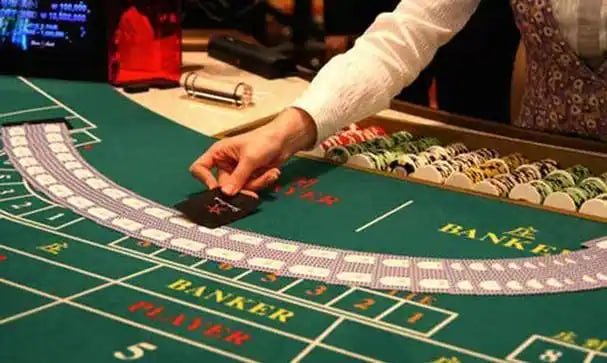 bet 558