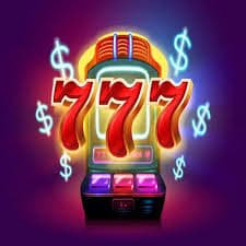 bet 558